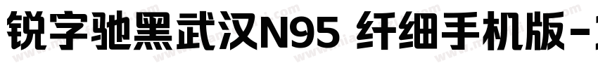 锐字驰黑武汉N95 纤细手机版字体转换